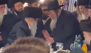 הגר"ש, בחתונת נכדת האדמו"ר מאמשינוב