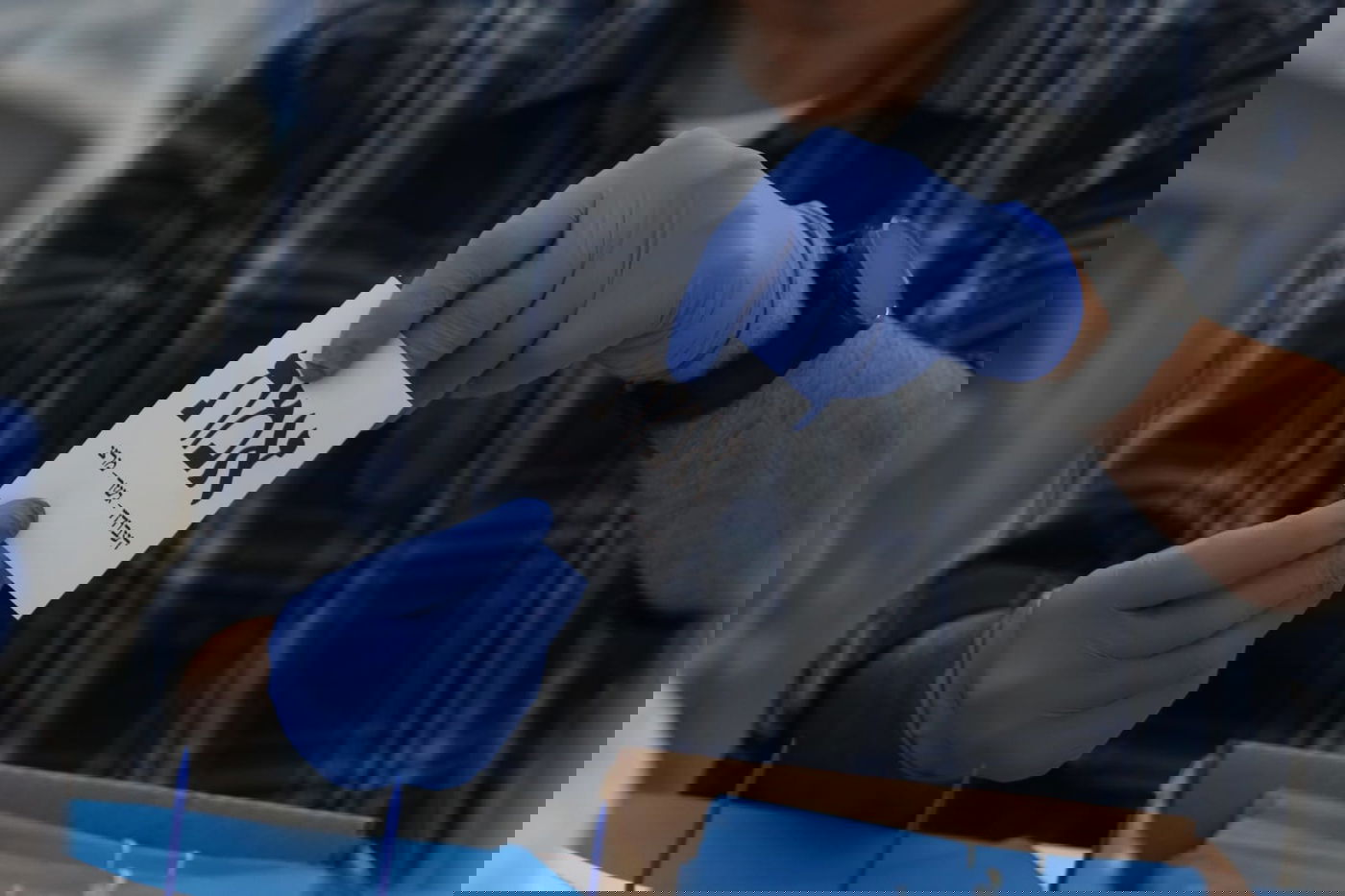 תיעוד נרחב: כך סופרים את 'קלפיות הקורונה'