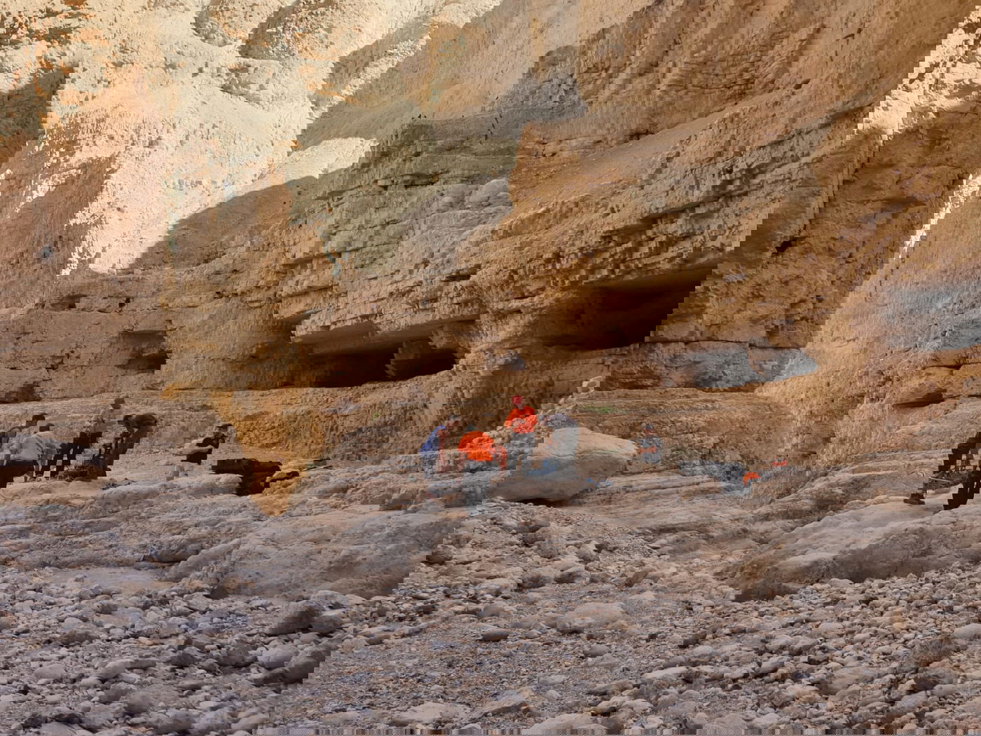 ילד טייל במדבר, ונזקק לחילוץ • תיעוד