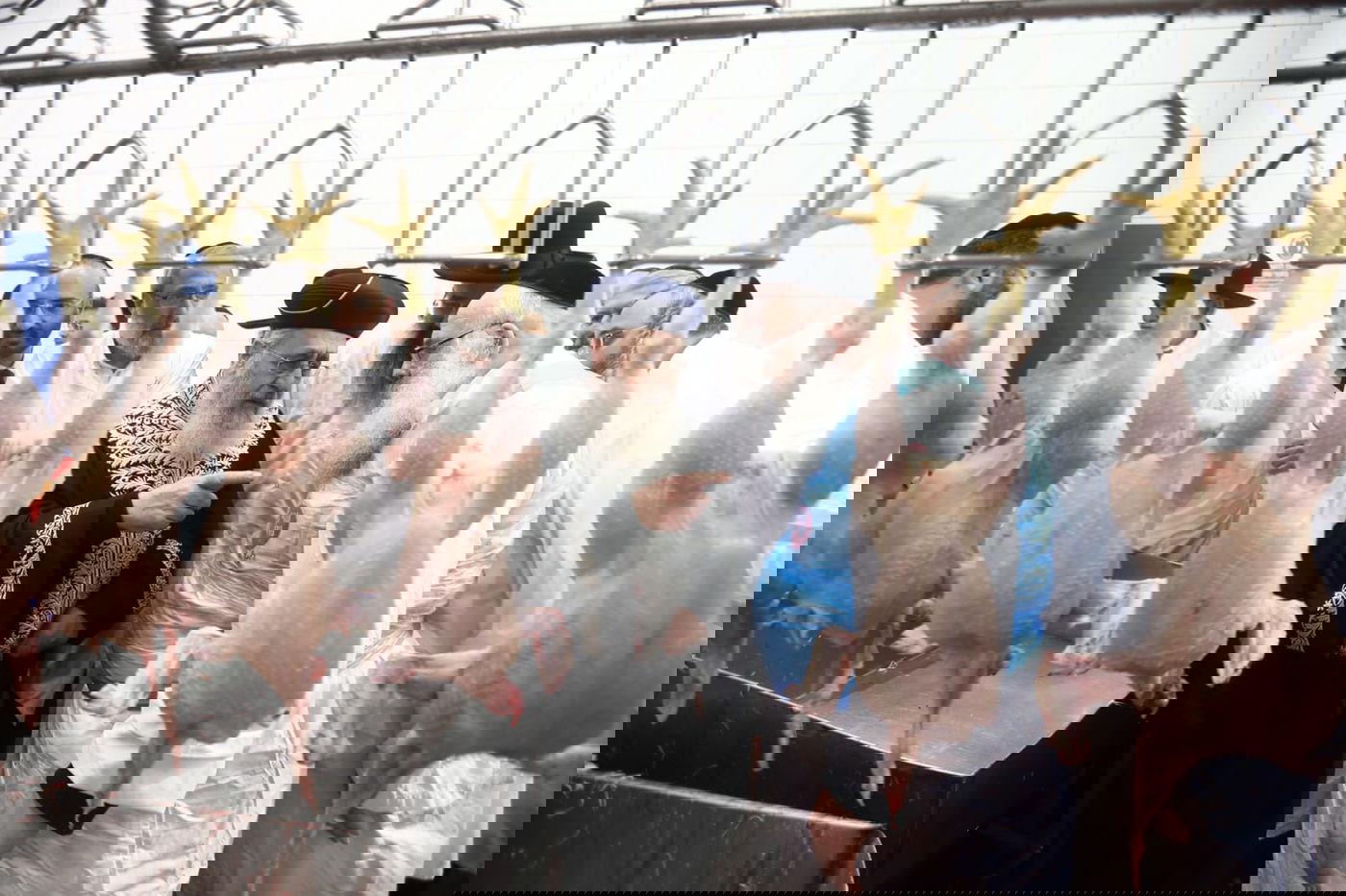 תיעוד: הביקור של הראשון לציון במשחטות