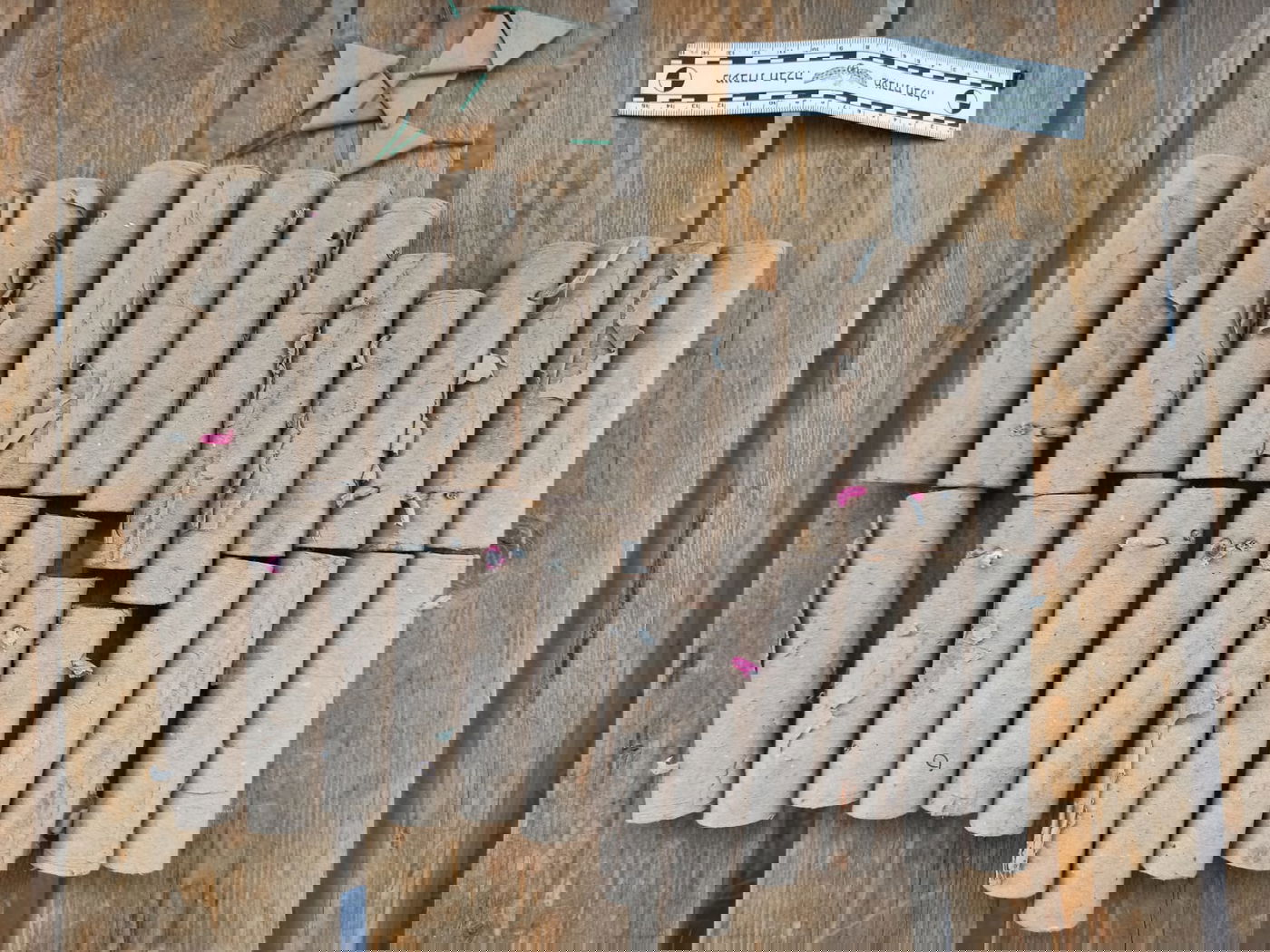 מודיעין עילית: שני קטינים עוכבו לחקירה