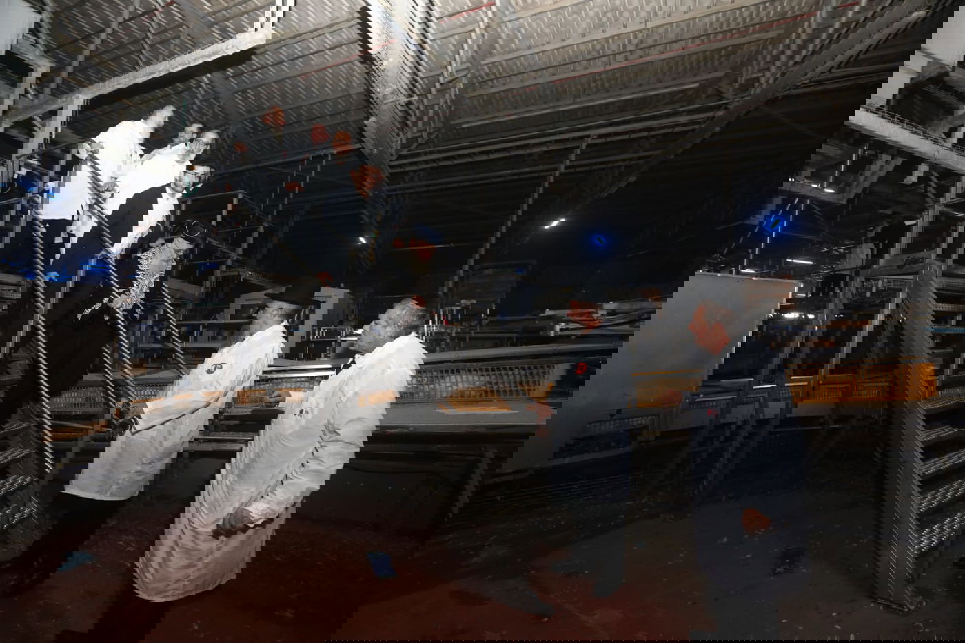 תיעוד: הביקור של הראשון לציון במשחטות