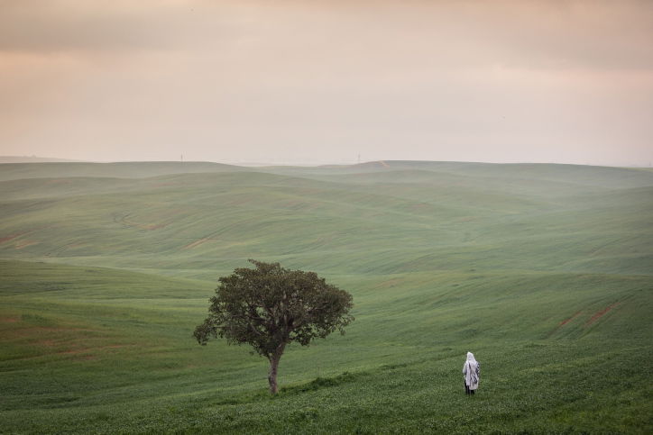 לקראת מהפך בתחזית מזג האוויר: היום חם, מחר גשום