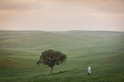 לקראת מהפך בתחזית מזג האוויר: היום חם, מחר גשום