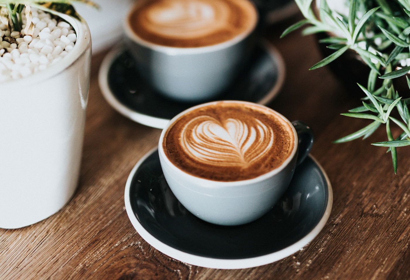 כמה קפה אתם שותים ביום?