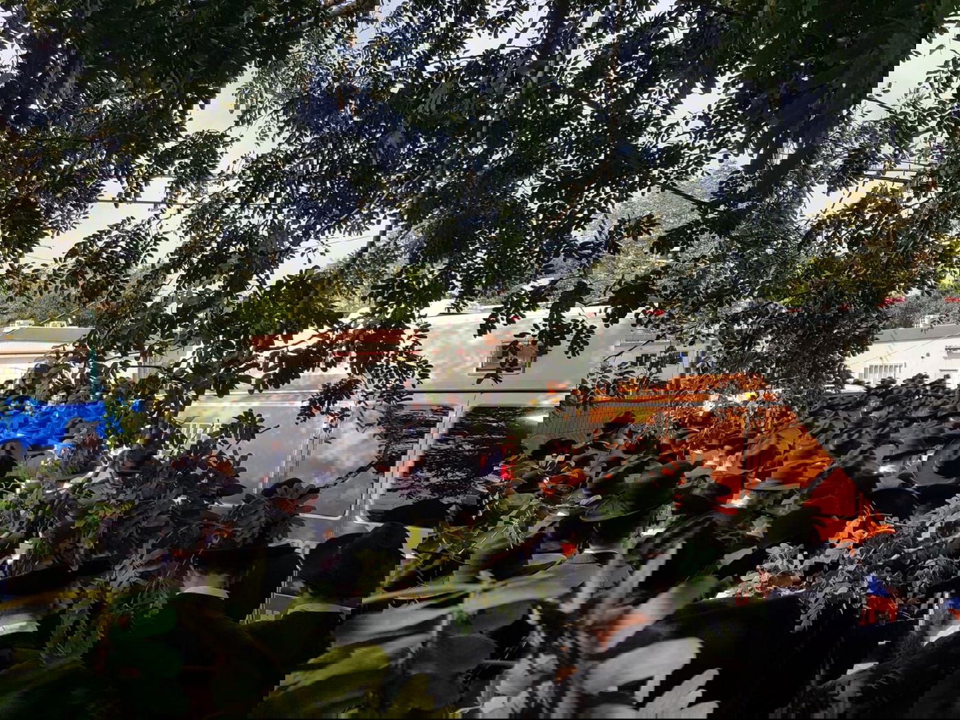 מסע הלוויתו של יהושע בוים ז"ל: 'תוכל לראות את השמים'