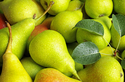 למה כדאי לכם לאכול אגס לפני שאתם מתחילים לשתות יין