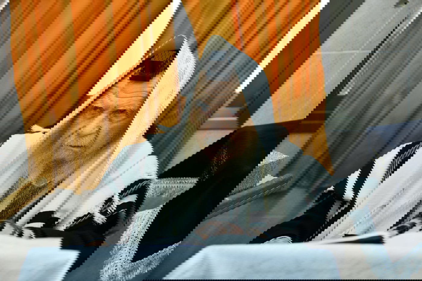 הגר"ג אדלשטיין בקריאת המגילה ומתנות לאביונים • תיעוד