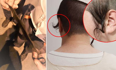 הבחור שלף מצלמה; השוטרים היכו אותו ותלשו פאה אחת