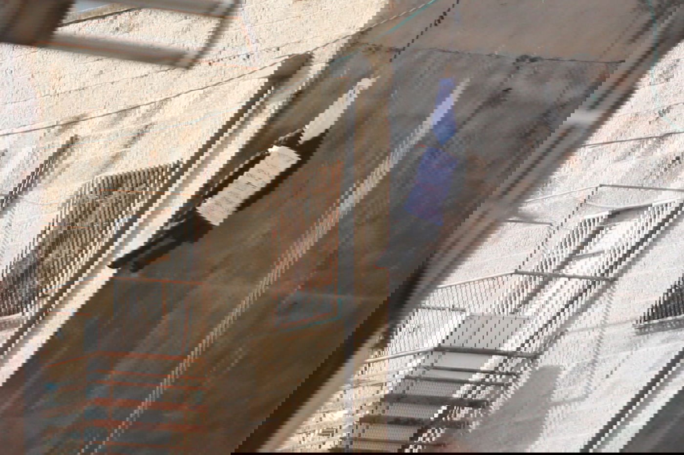 הקיצונים תלו 'בובת מאיר'קה פרוש' • תיעוד