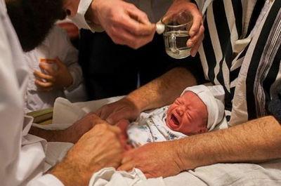 נגיף הקורונה: במחלקת בריתות מחדדים נהלים