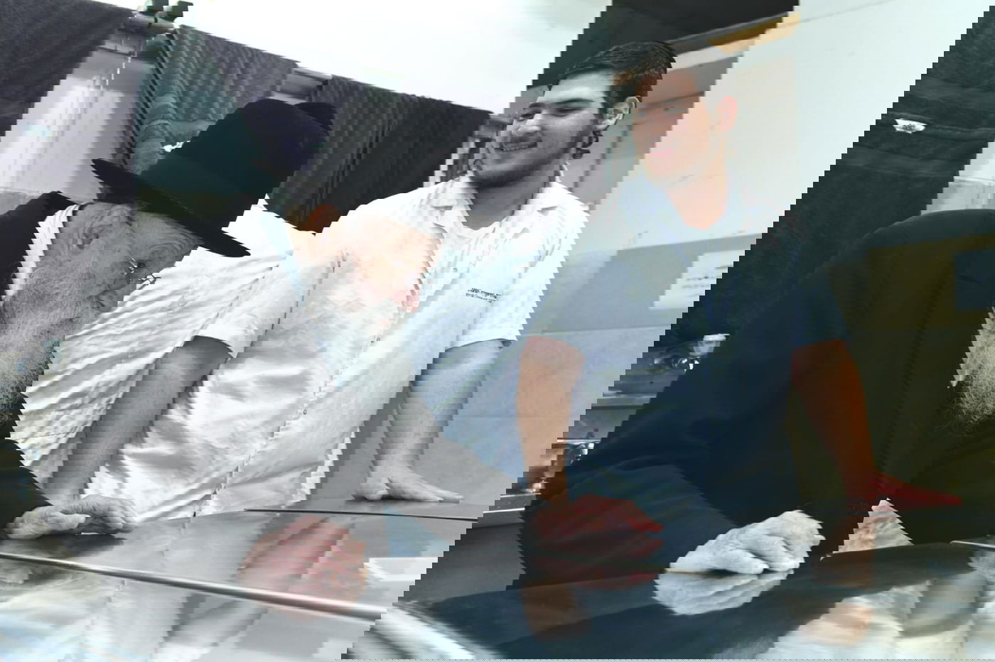 כך ה'חזונאישניקים' אופים מצות • תיעוד ענק