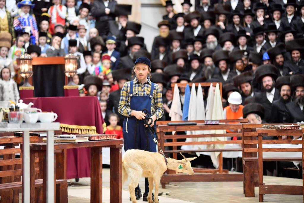 כך ציינו את חג הפורים בחצר הקודש ויז'ניץ