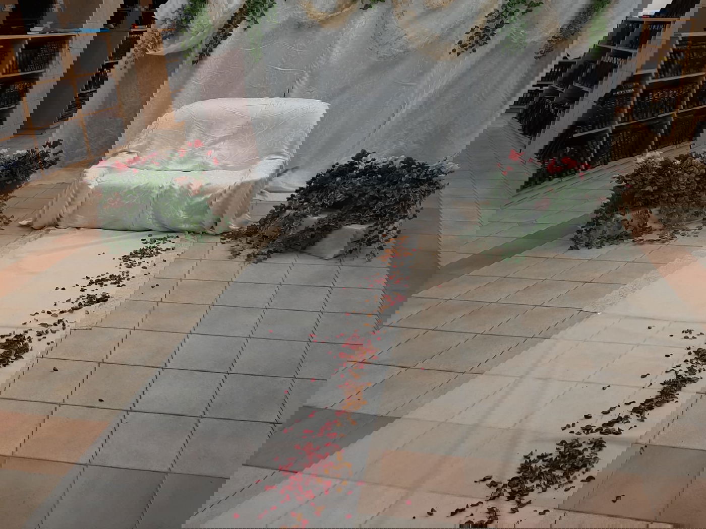 צפו ב"חתונת המרפסות" בישיבת מרכז הרב