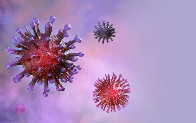 כשהרמ"א קבע: "השם יתעלה הוא המוחץ והרופא"