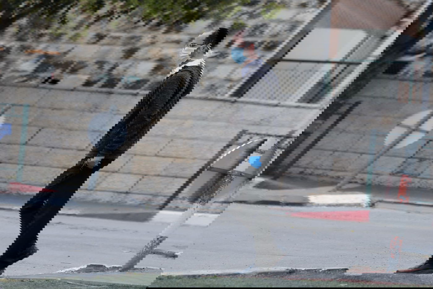 זלמן שטוב 'מבכה' על הנגיף המסוכן // טור