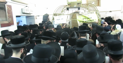 ההילולה בשנה שעברה