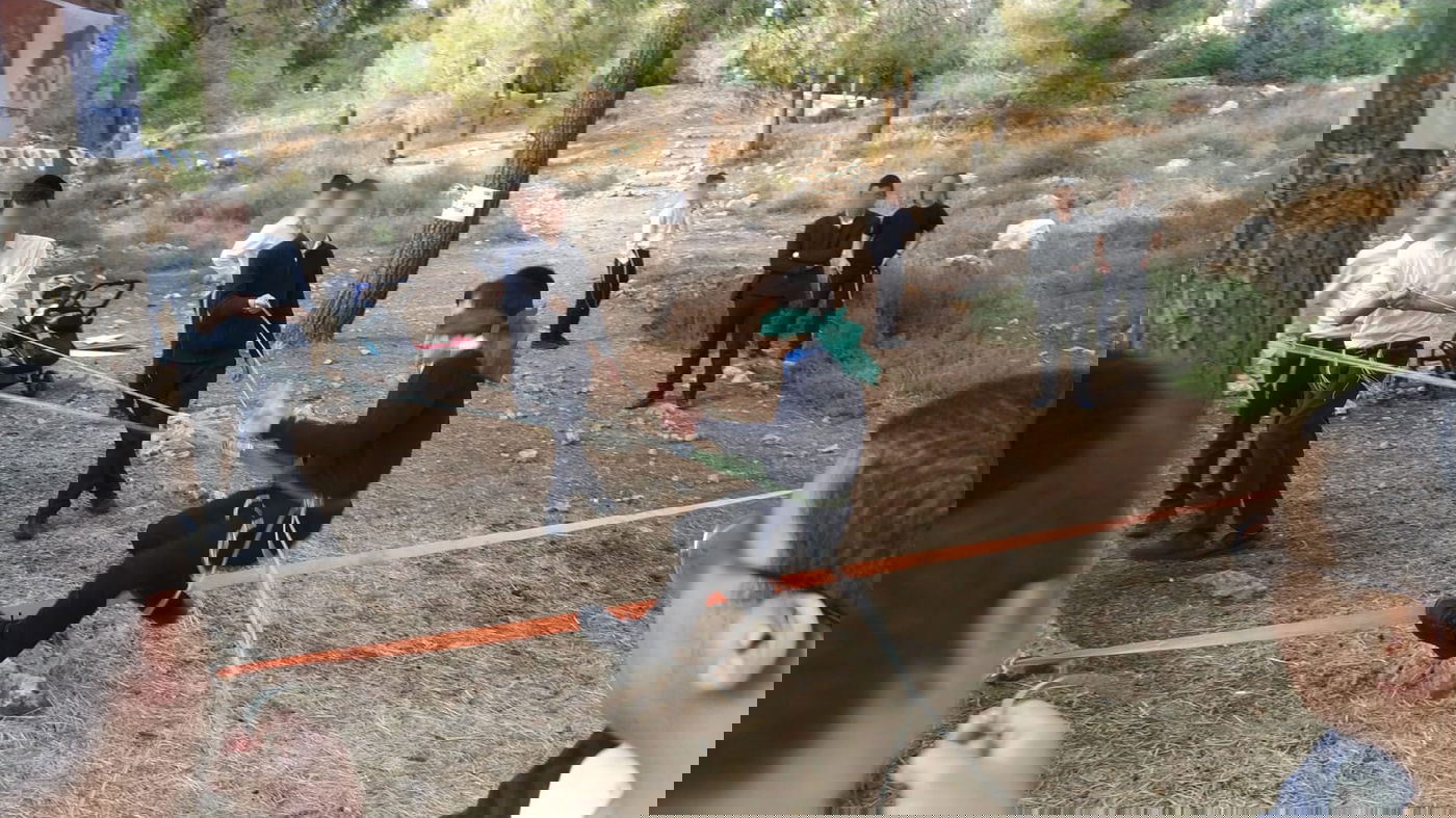 עונת הטיולים: להחליף כח ולצבור אנרגיות