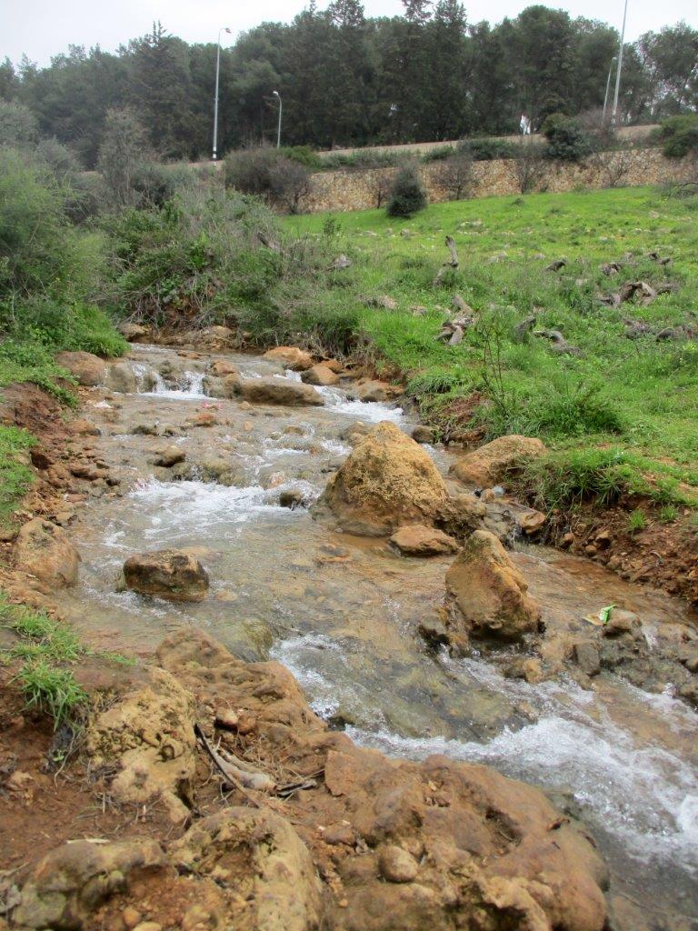 גלרייה אביבית: נחל פרוד שבגליל העליון