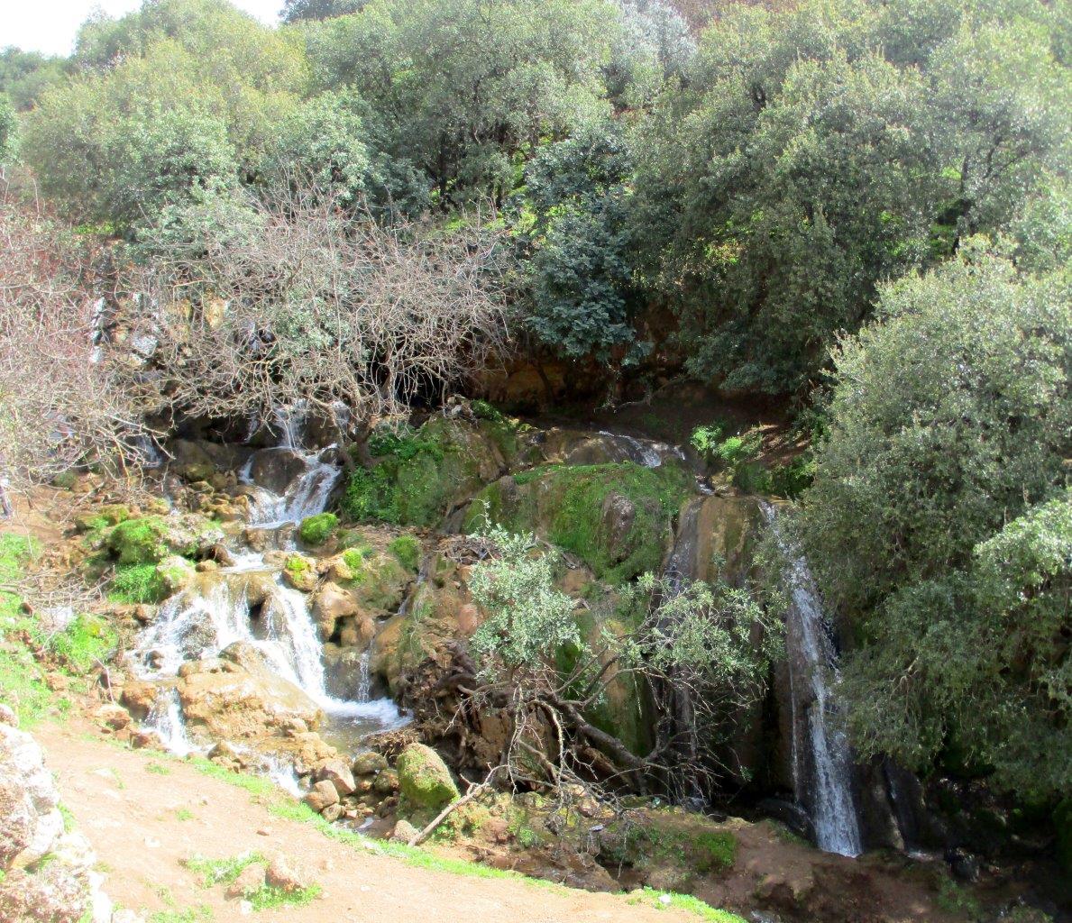גלרייה אביבית: נחל פרוד שבגליל העליון