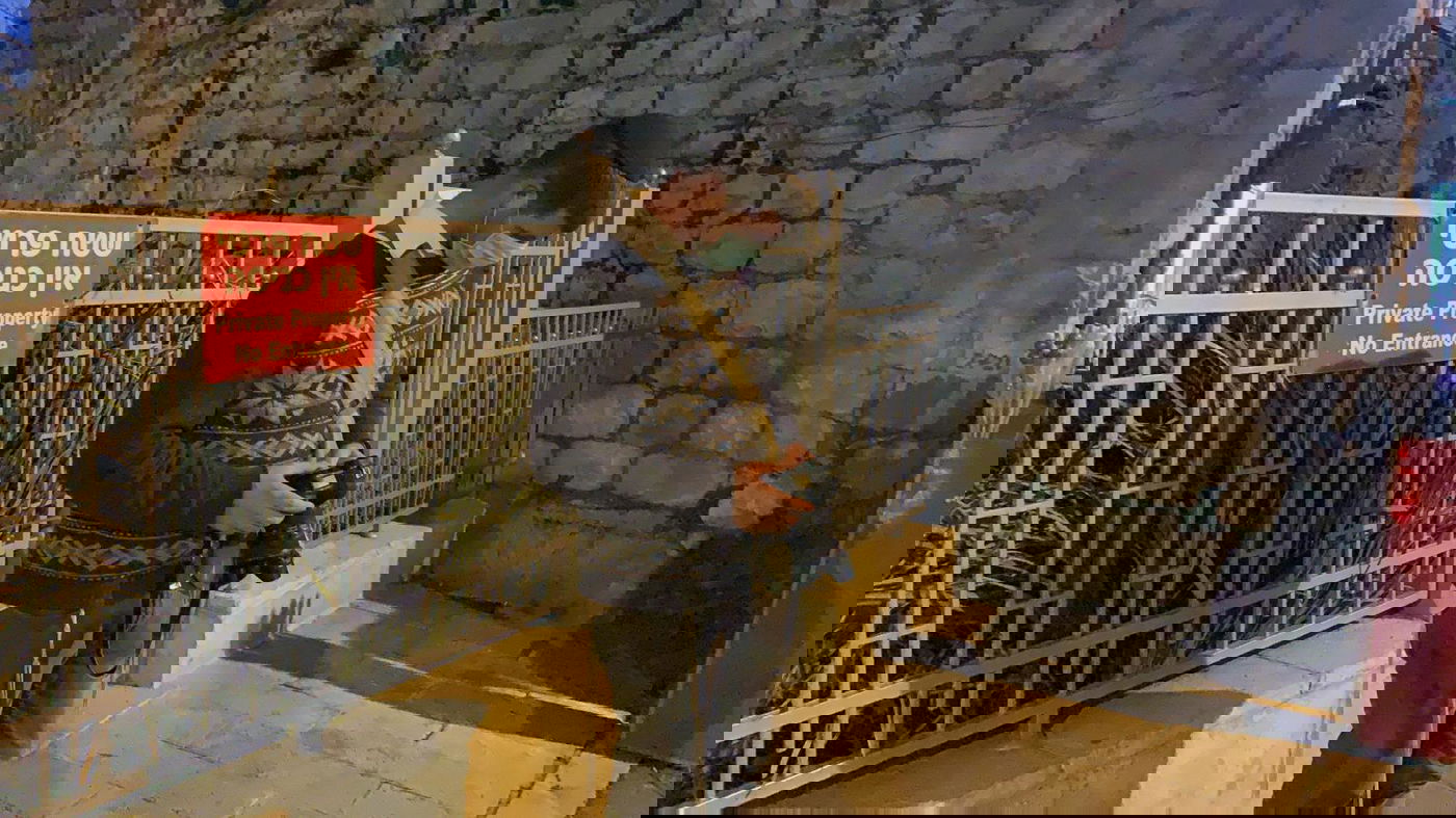 זופניק בכיכר • כל התמונות והנייעס של השבוע