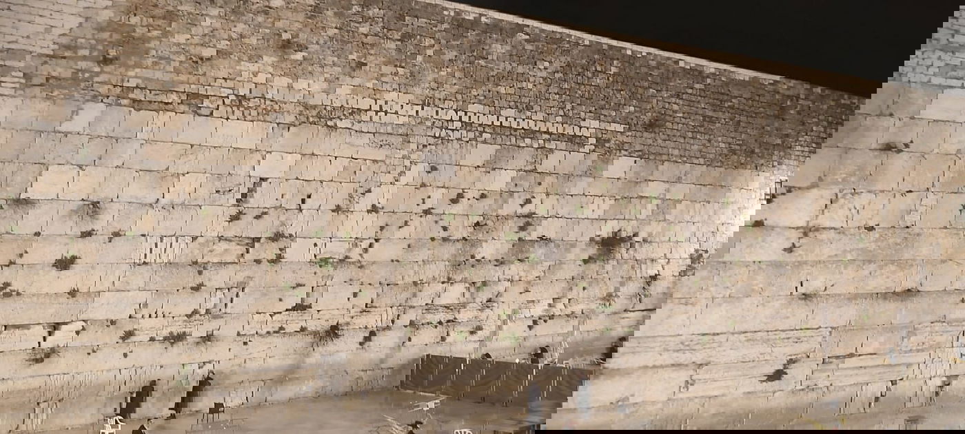 עַל הַר צִיּוֹן שֶׁשָּׁמֵם | הכותל המערבי, הבוקר • תיעוד