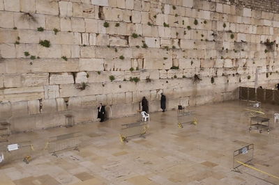 עַל הַר צִיּוֹן שֶׁשָּׁמֵם | הכותל המערבי, הבוקר • תיעוד