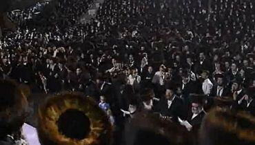 ארכיון, אילוסטרציה