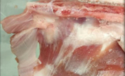 חשש לחֵלֶב בבשר