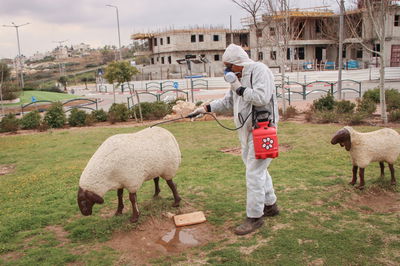 חיטוי שטחים ציבוריים באפרת אתמול