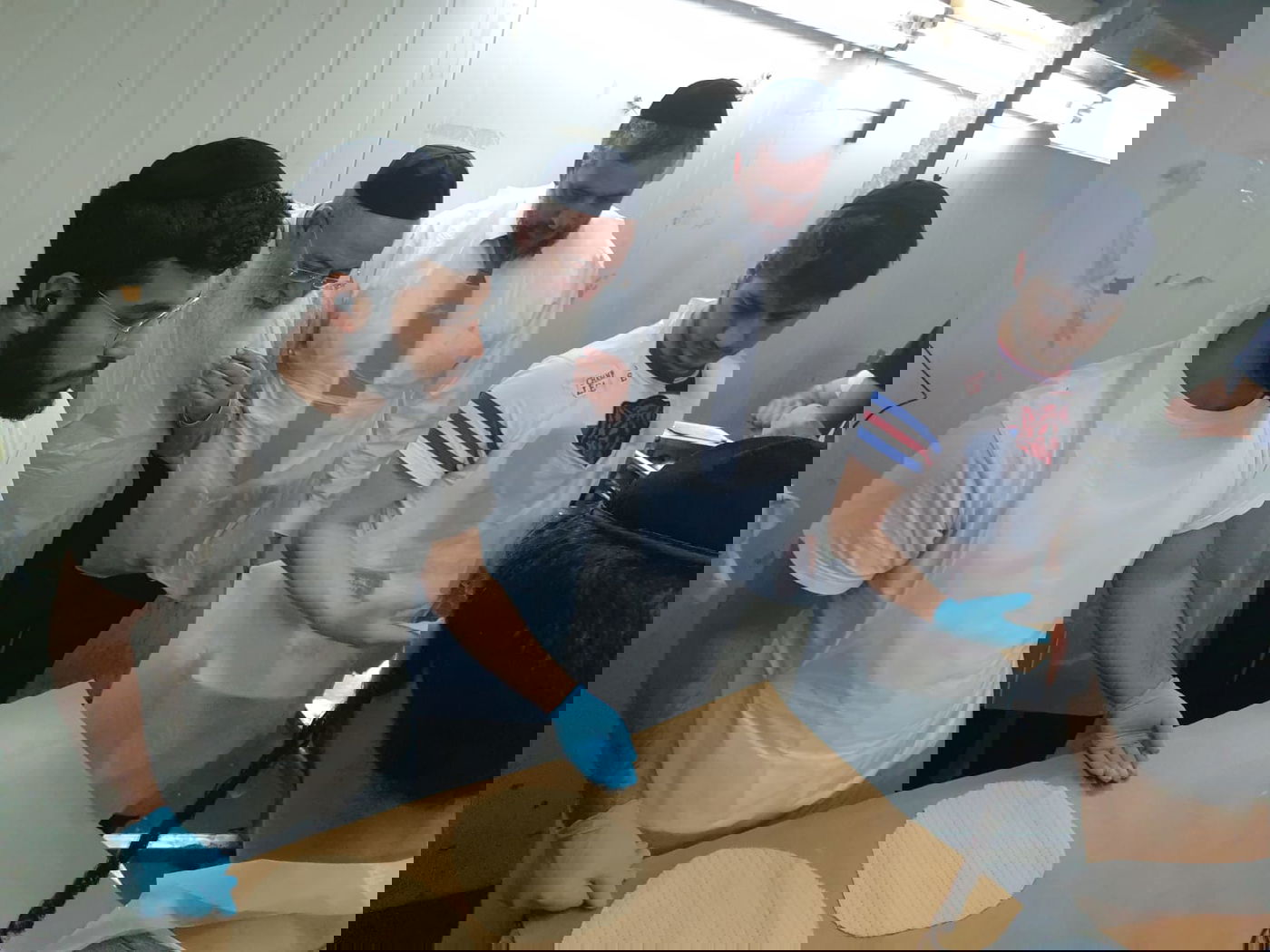 הראשל"צ הגר"ש עמאר הקדים את אפיית המצות