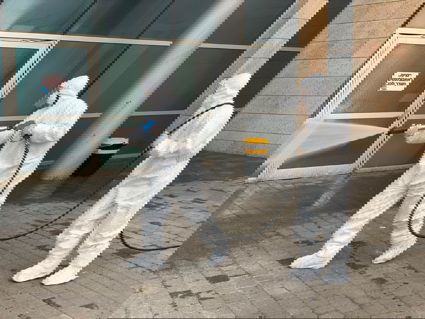 חיטוי ב'הדסה'