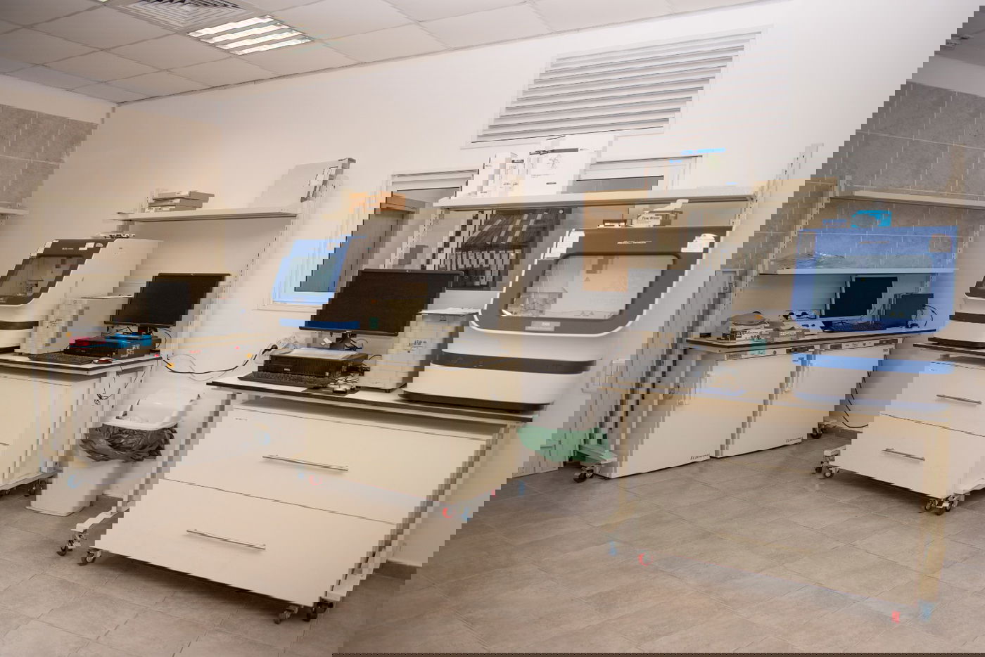 מחללים - לחולים: הרבנות הצבאית נרתמת