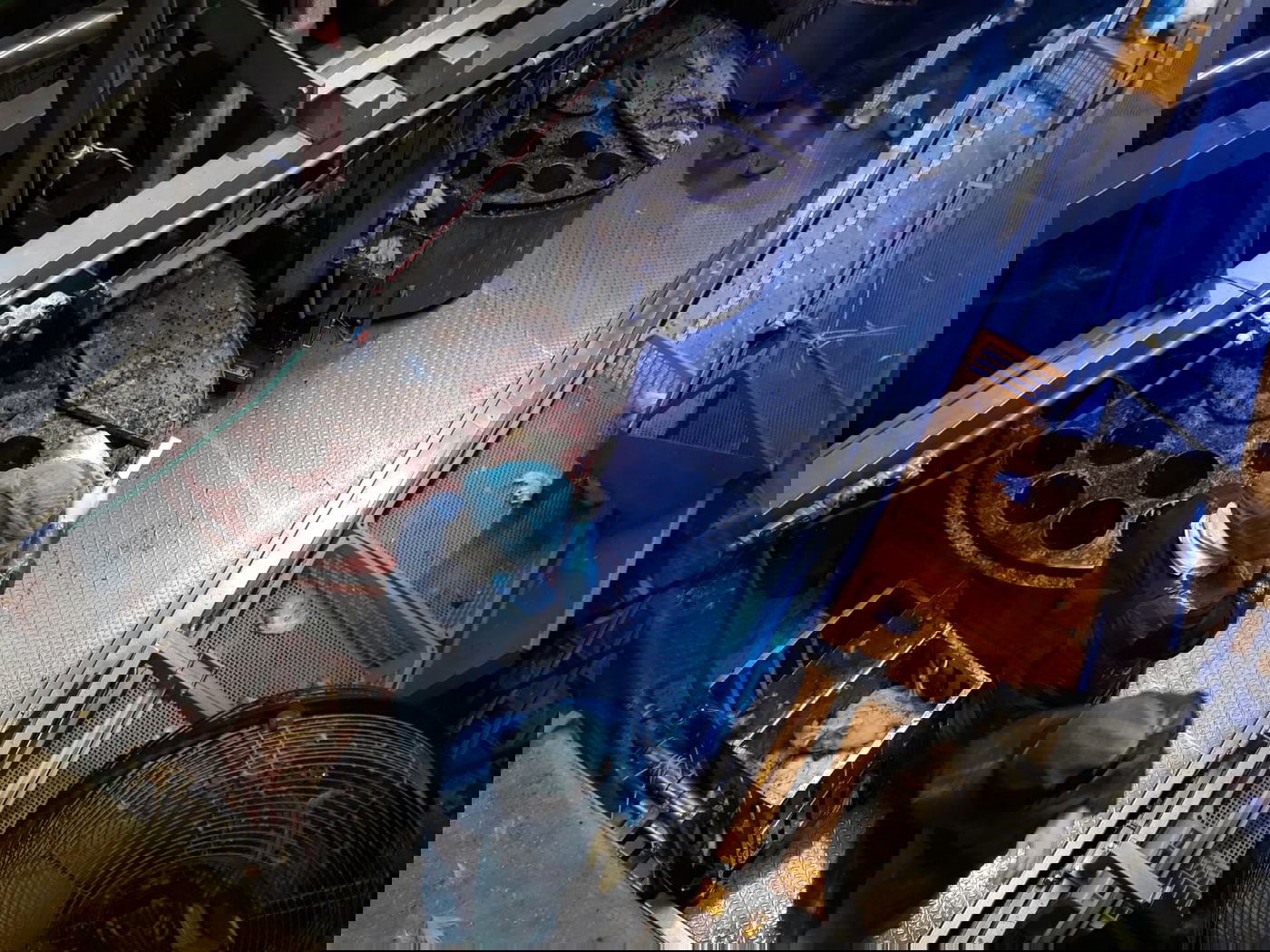 תיעוד מיוחד: שחיטת עופות בצל ההגבלות