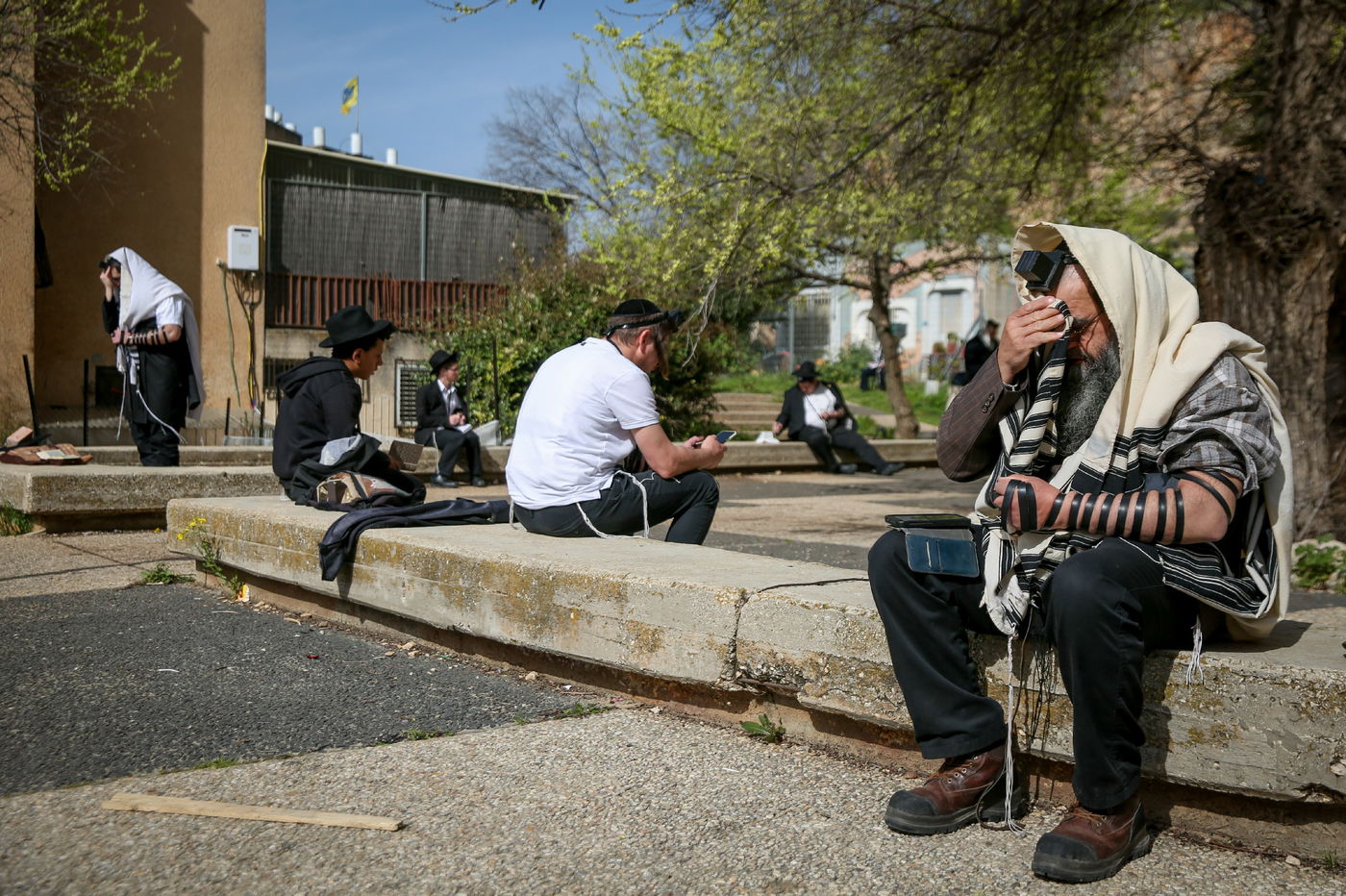 כך התפללו שחרית בציונו של רשב"י במירון ובצפת • תיעוד