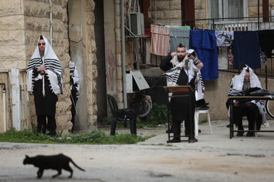 תפילת ראש חודש ניסן ברחובה של ירושלים • תיעוד