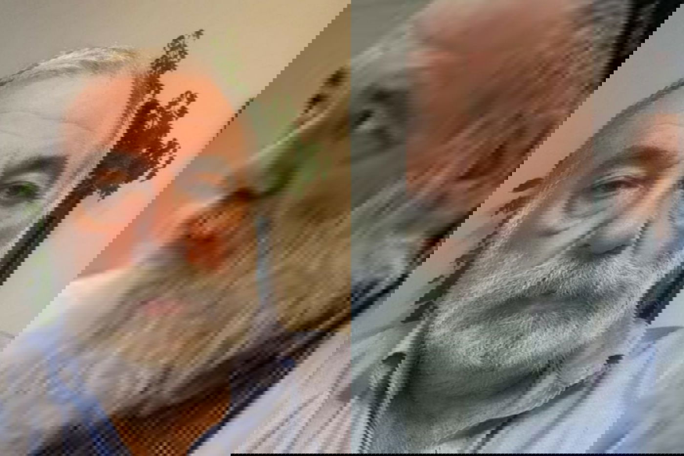 פרופ' סורקין, לפני ואחרי