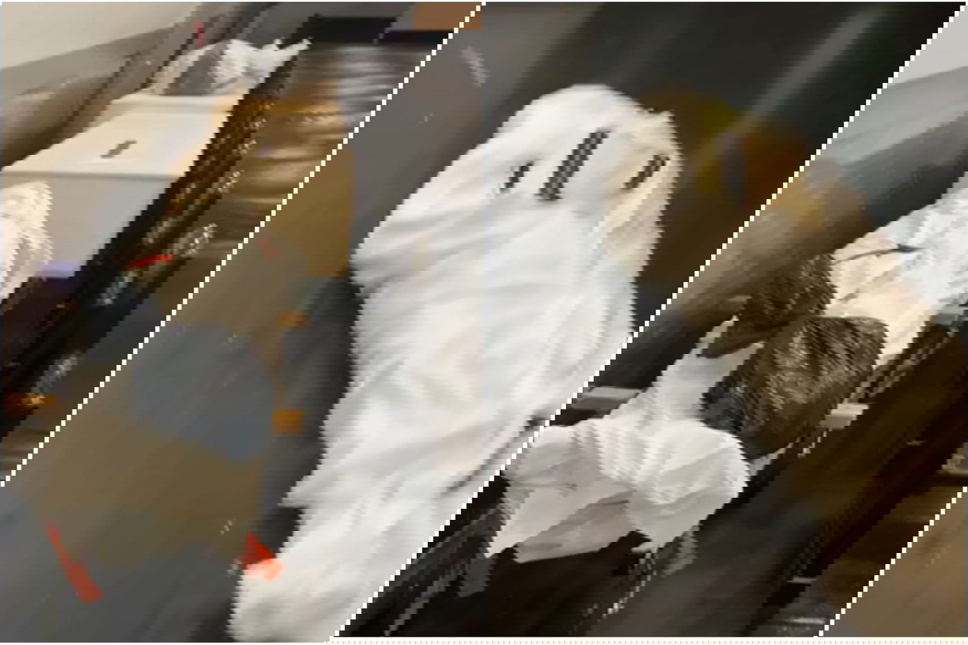 גופות חולי קורונה חרדים