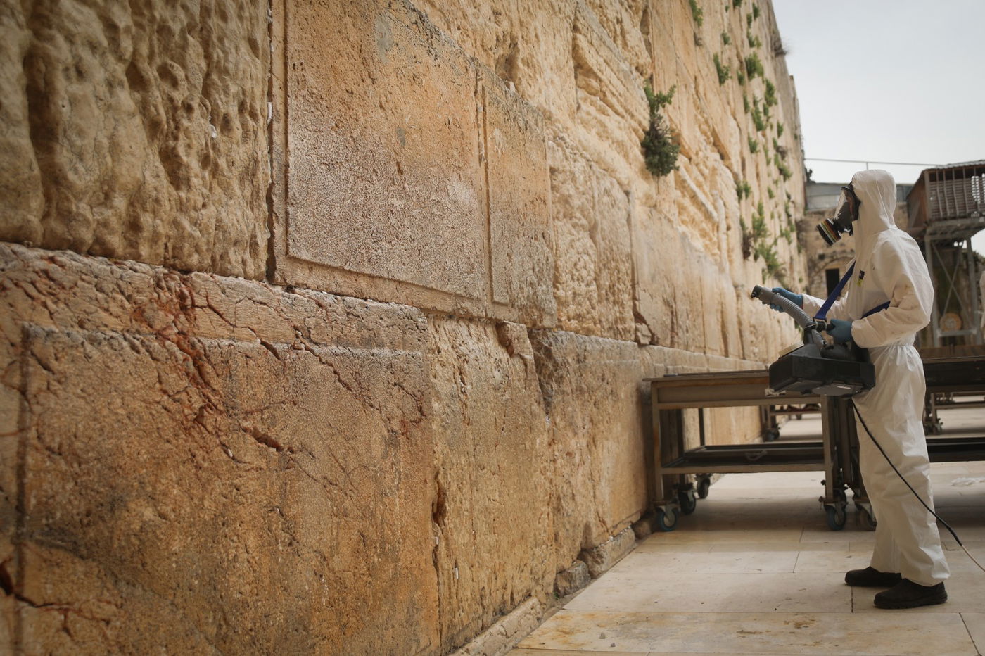 אבני הכותל המערבי עברו ניקוי וחיטוי • צפו