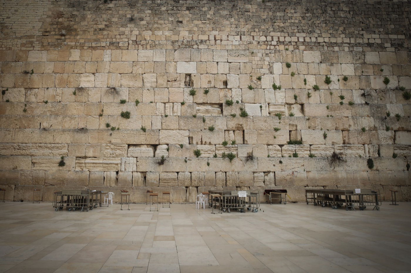 אבני הכותל המערבי עברו ניקוי וחיטוי • צפו