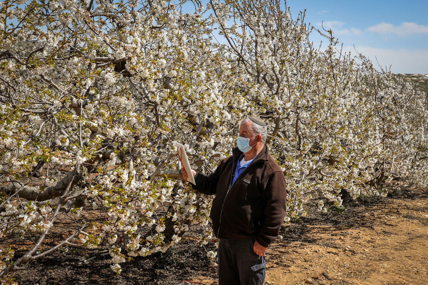 האם צריך לברך ברכת האילנות דווקא בניסן?