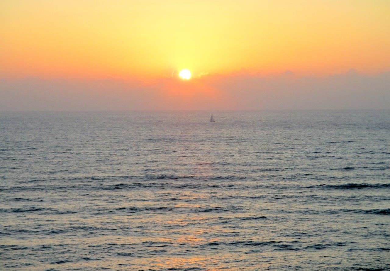 גלריה מרהיבה וצבעונית מחוף השרון • צפו