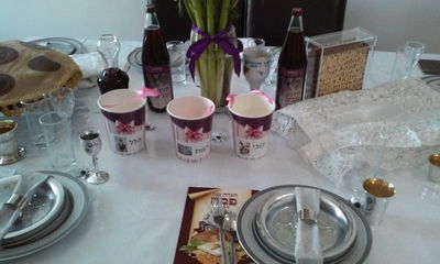 עורך סדר פסח ראשון בבית ולא יודע כיצד?