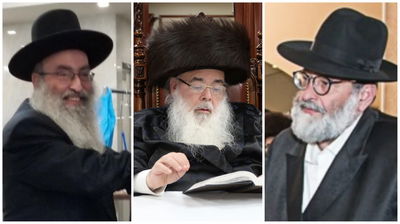 הקרבנות החרדים בארה"ב: האברך והגאב"ד