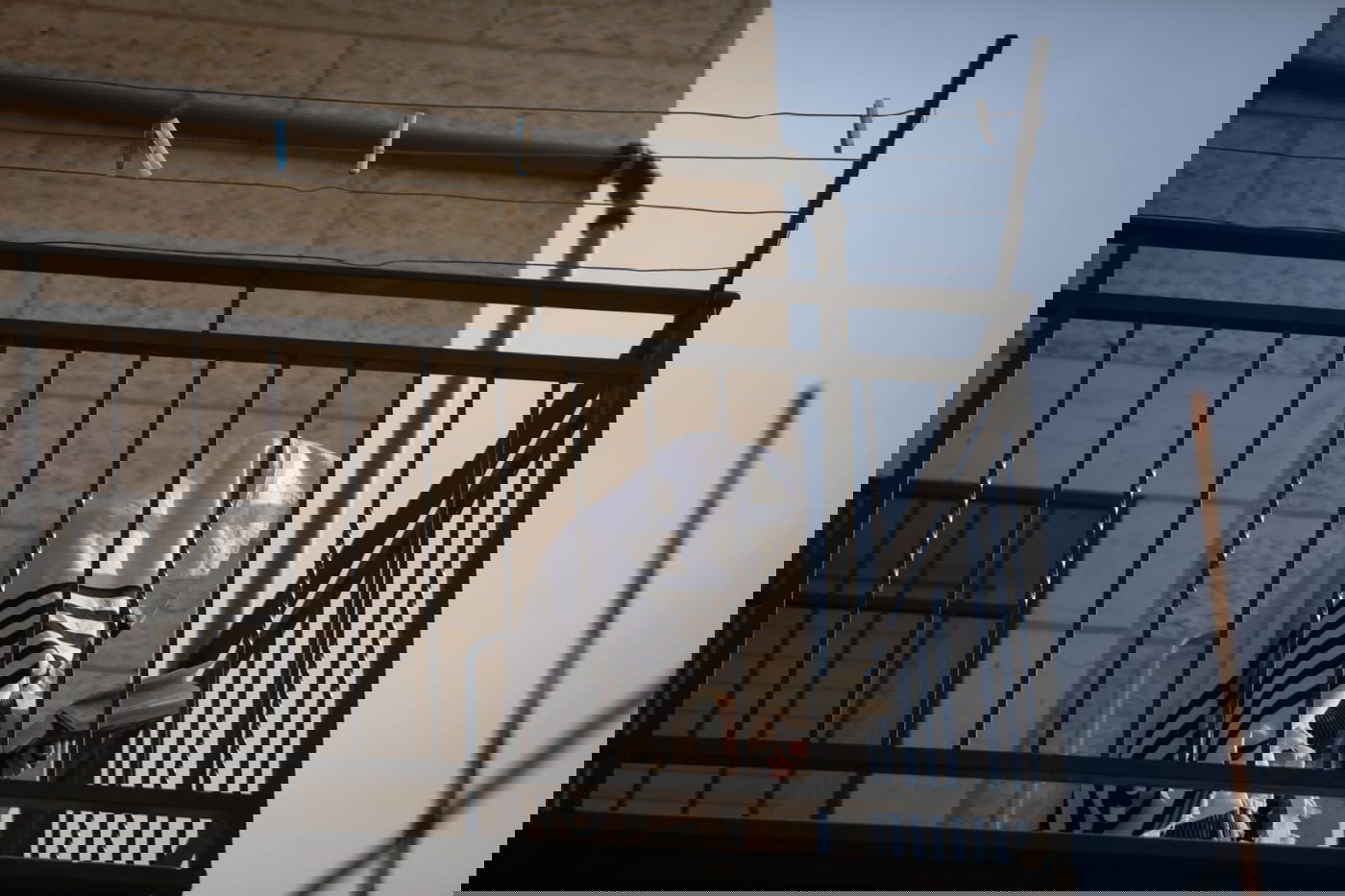 "בשעה שהציבור מתפללים": כך תכוונו להתפלל עם המניין