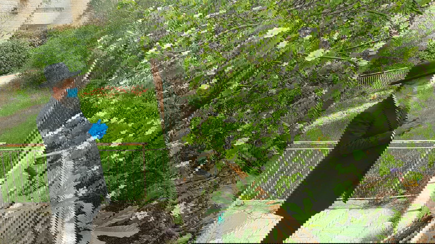 הגר"ד יוסף בירך על האילנות עם כפפות ומסיכה