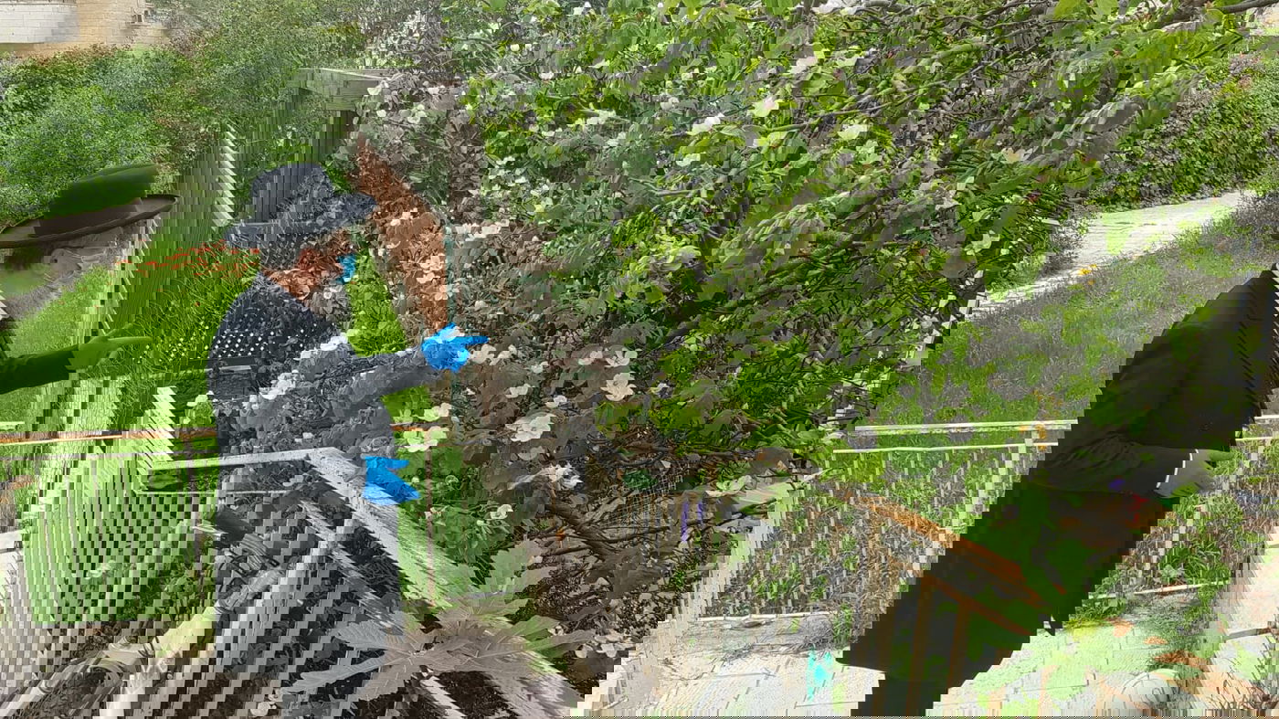 הגר"ד יוסף בירך על האילנות עם כפפות ומסיכה