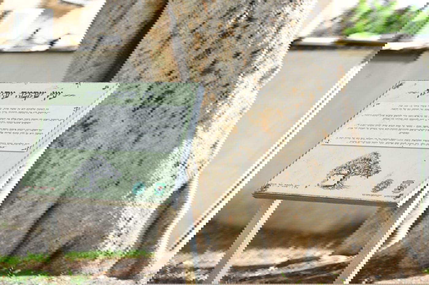 גלריה מרמת גן - בצל נגיף הקורונה • צפו