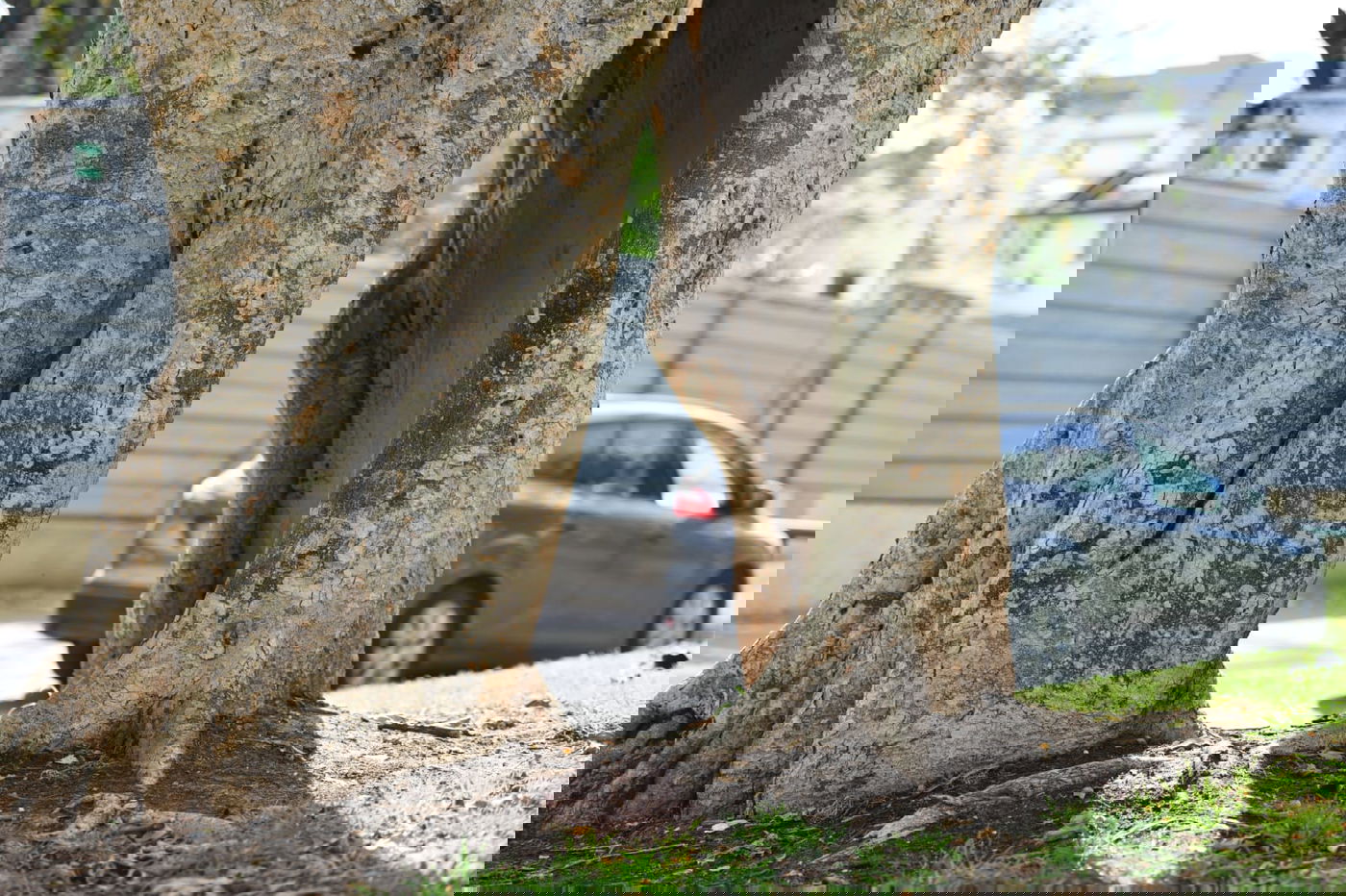 גלריה מרמת גן - בצל נגיף הקורונה • צפו