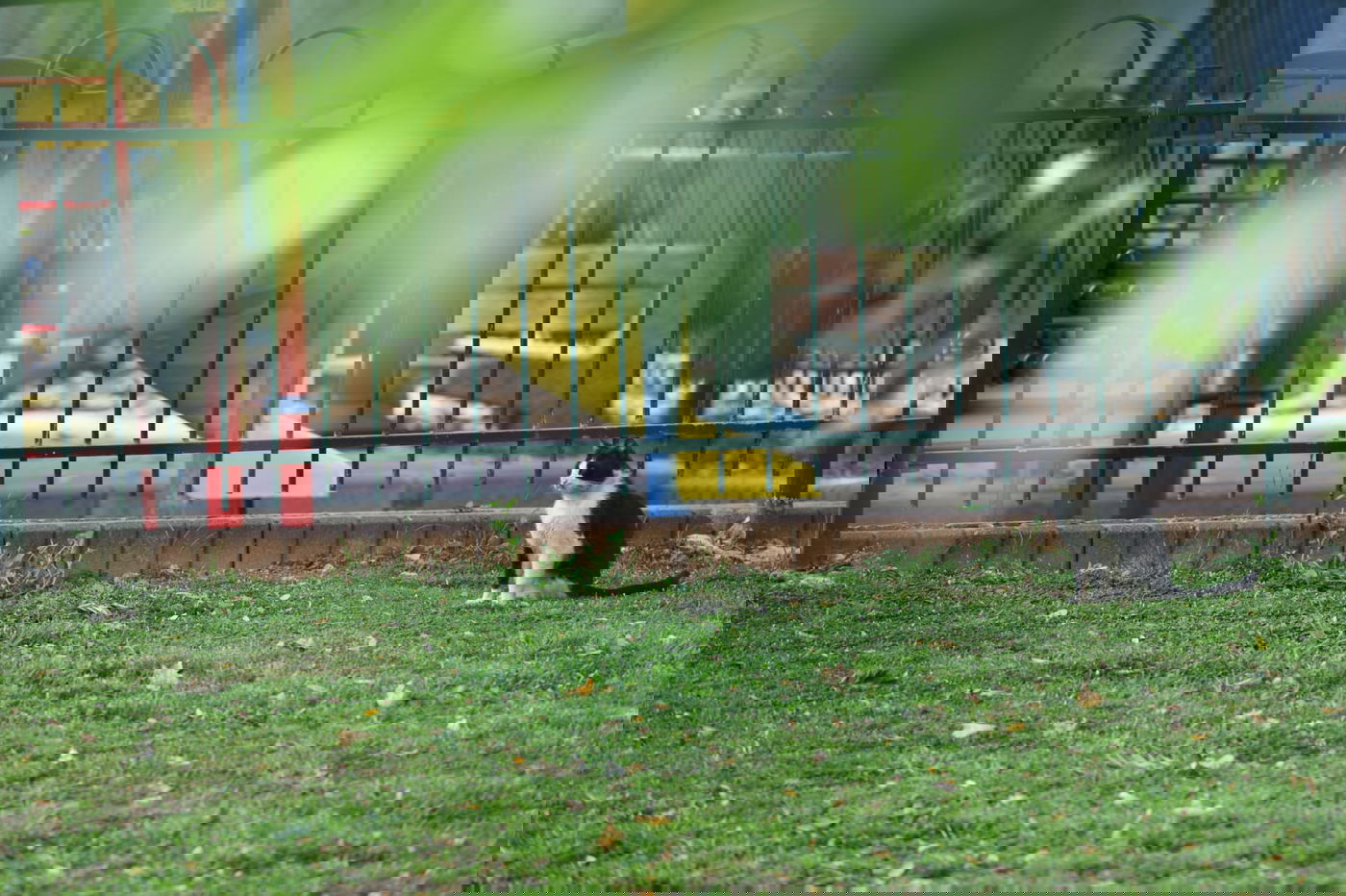 גלריה מרמת גן - בצל נגיף הקורונה • צפו